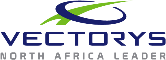 Logo Vectorys